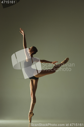 Image of Young graceful female ballet dancer dancing in mixed light