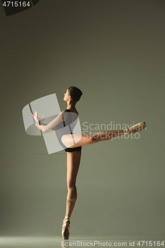 Image of Young graceful female ballet dancer dancing in mixed light