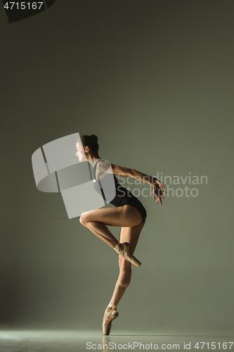 Image of Young graceful female ballet dancer dancing in mixed light