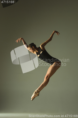 Image of Young graceful female ballet dancer dancing in mixed light