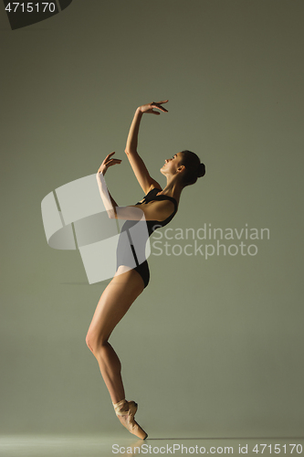 Image of Young graceful female ballet dancer dancing in mixed light