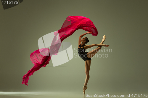 Image of Young graceful female ballet dancer dancing in mixed light