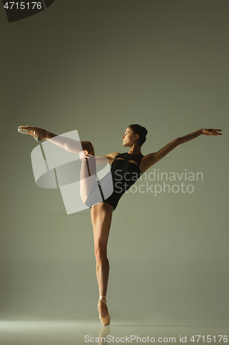 Image of Young graceful female ballet dancer dancing in mixed light