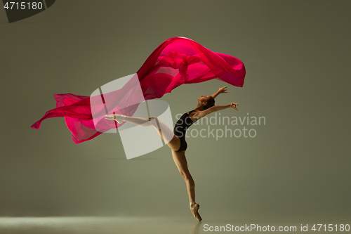 Image of Young graceful female ballet dancer dancing in mixed light