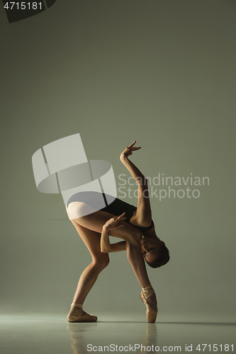 Image of Young graceful female ballet dancer dancing in mixed light