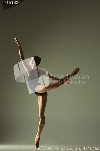 Image of Young graceful female ballet dancer dancing in mixed light