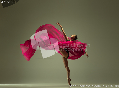 Image of Young graceful female ballet dancer dancing in mixed light