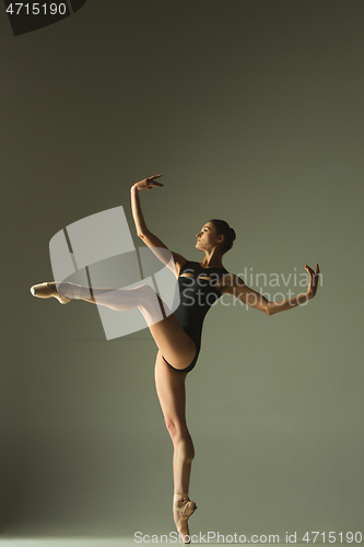 Image of Young graceful female ballet dancer dancing in mixed light