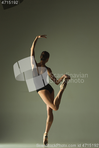 Image of Young graceful female ballet dancer dancing in mixed light