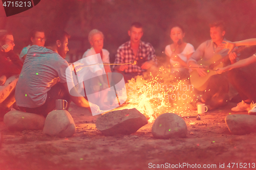 Image of young friends relaxing around campfire