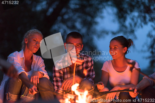 Image of young friends relaxing around campfire