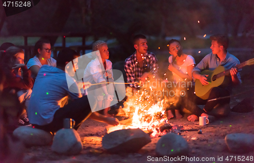 Image of young friends relaxing around campfire