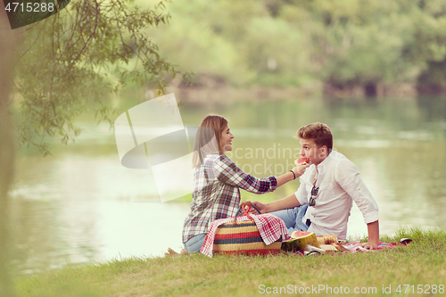 Image of Couple in love enjoying picnic time