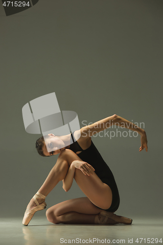 Image of Young graceful female ballet dancer dancing in mixed light