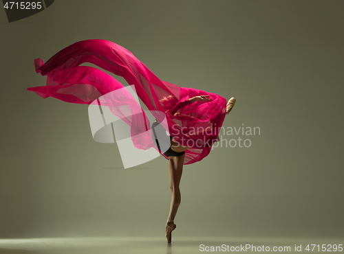 Image of Young graceful female ballet dancer dancing in mixed light