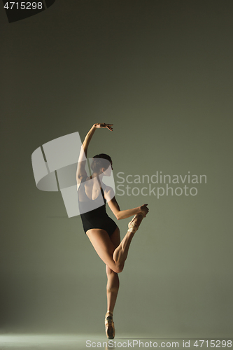 Image of Young graceful female ballet dancer dancing in mixed light