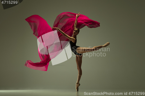 Image of Young graceful female ballet dancer dancing in mixed light