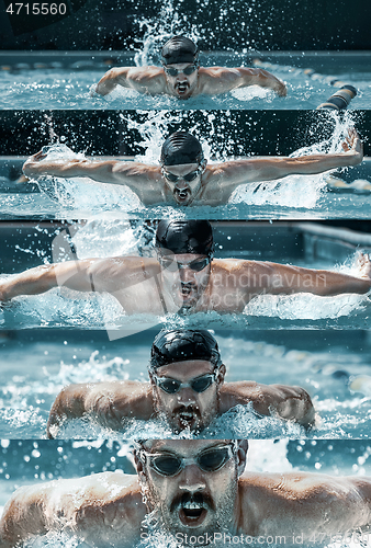 Image of Caucasian male professional swimmer in pool