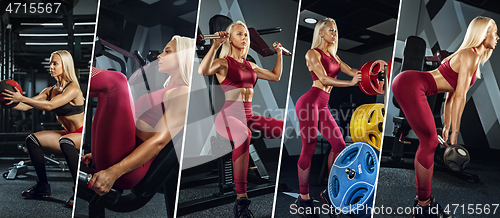 Image of Muscular young female athlete, creative collage