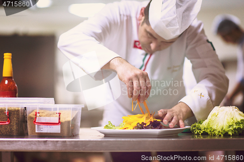 Image of chef serving vegetable salad