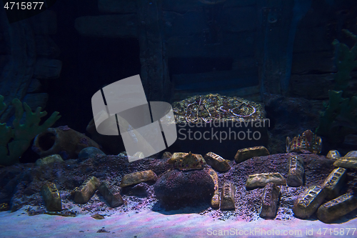 Image of empty aquarium decor