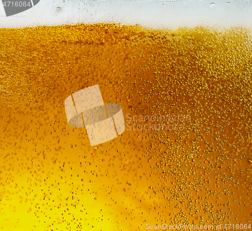 Image of Close up view of floating bubbles in light beer texture