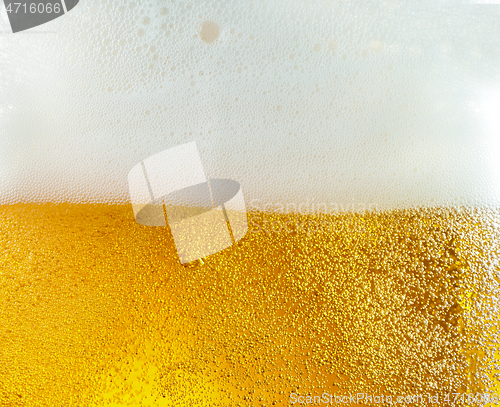 Image of Close up view of floating bubbles in light beer texture