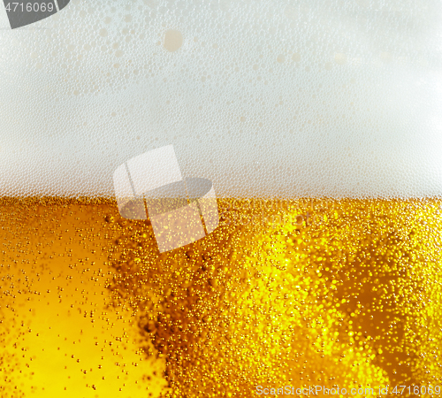 Image of Close up view of floating bubbles in light beer texture