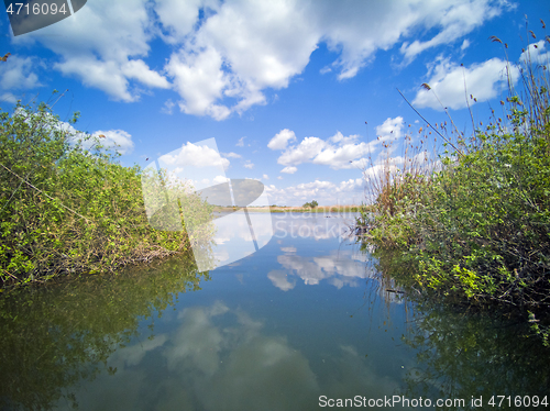 Image of Water canal in the Danube Delta