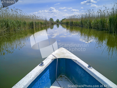 Image of Water canal between the reeds