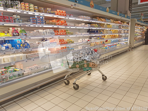 Image of Cool racks wit dairy products