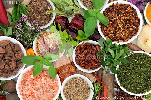 Image of Dried and Fresh Culinary Herbs and Spice 