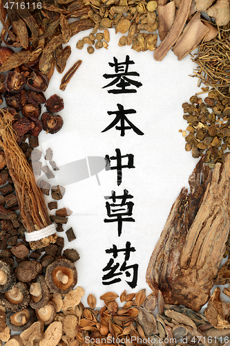 Image of Chinese Fundamental Herbs