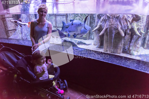 Image of happy family  in the underwater aquarium