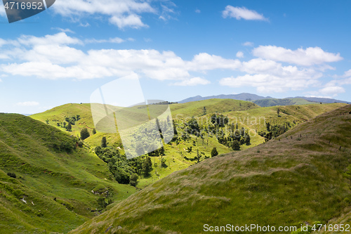 Image of landscape Matamata