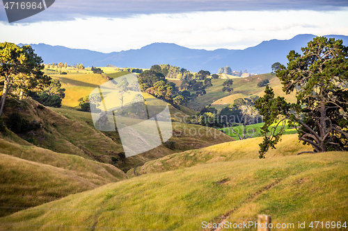 Image of sunset landscape New Zealand north island