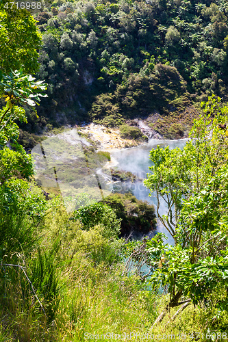 Image of volcanic activities at waimangu