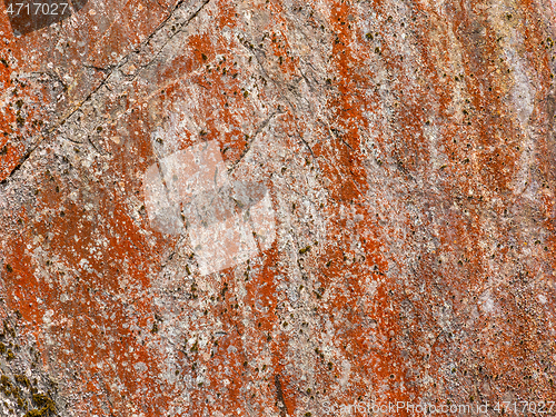 Image of stone with red lichen