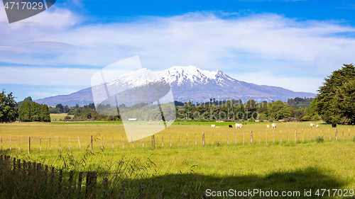 Image of Mount Ruapehu volcano in New Zealand