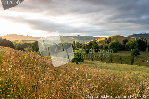 Image of sunset landscape New Zealand north island