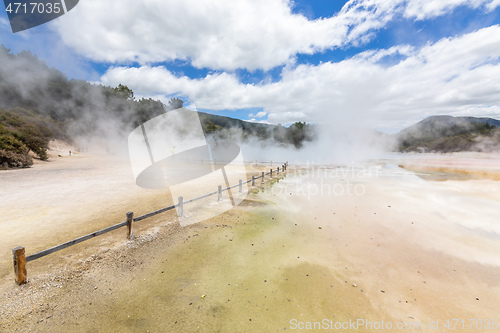 Image of geothermal activity at Rotorua in New Zealand