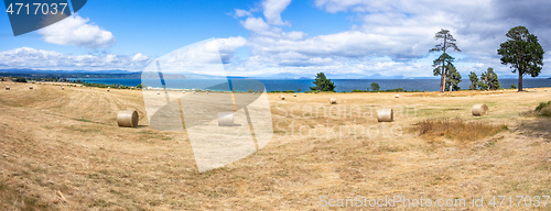 Image of Lake Taupo New Zealand
