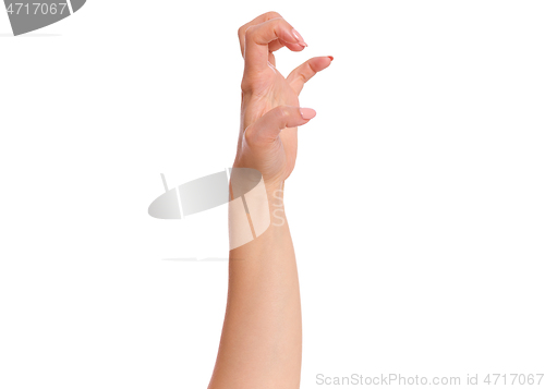 Image of Female hand on white