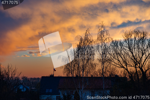 Image of Houses and trees at sunset