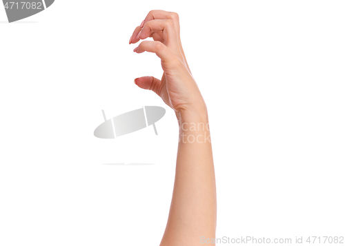 Image of Female hand on white