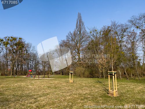 Image of Planting trees in park