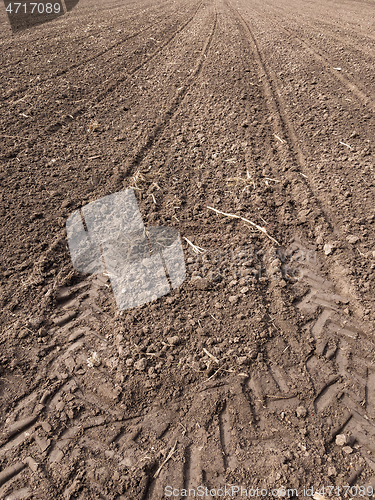 Image of Plowed field at spring