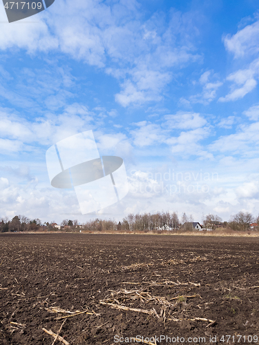 Image of Plowed field at spring