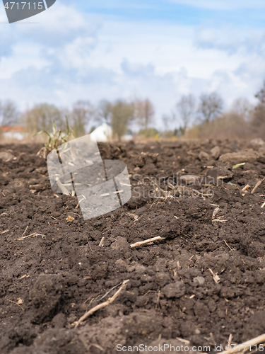 Image of Plowed field at spring