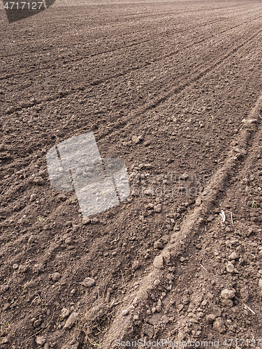 Image of Plowed field at spring